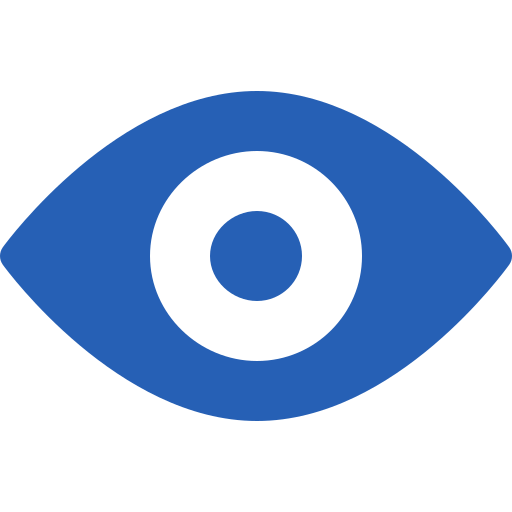 Vision Icon
